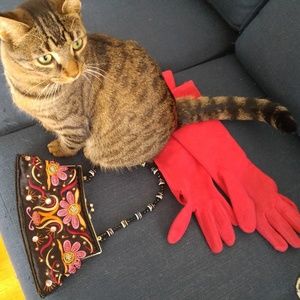 Meet your Posher, Michele